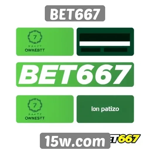 Métodos de pagamento aceitos no BET667